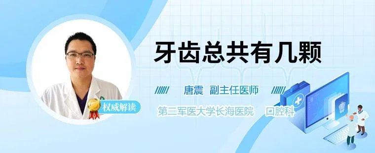 牙齿总共有几颗