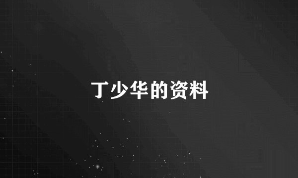 丁少华的资料