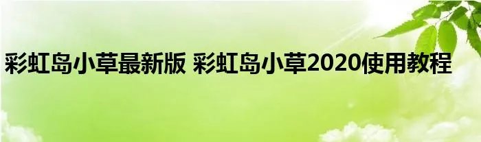 彩虹岛小草最新版 彩虹岛小草2020使用教程