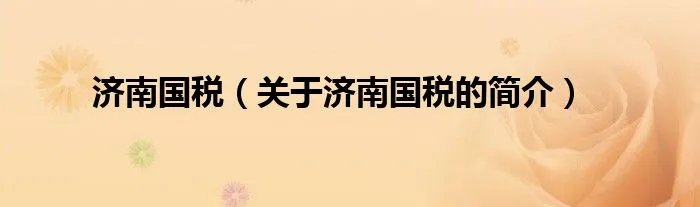济南国税（关于济南国税的简介）