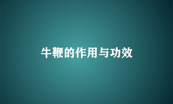 牛鞭的作用与功效