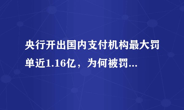 央行开出国内支付机构最大罚单近1.16亿，为何被罚这么多钱？