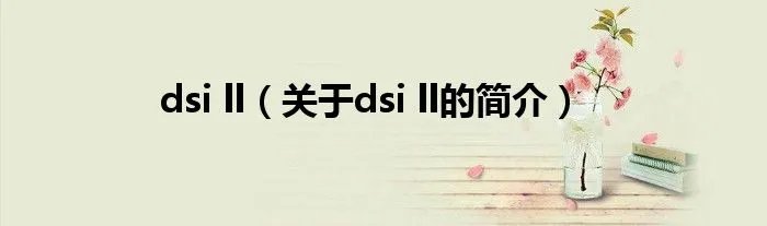 dsi ll（关于dsi ll的简介）