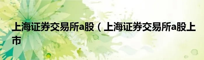 上海证券交易所a股(上海证券交易所a股上市