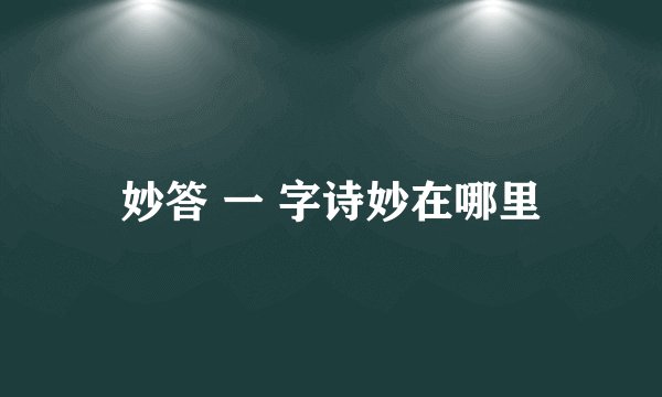 妙答 一 字诗妙在哪里