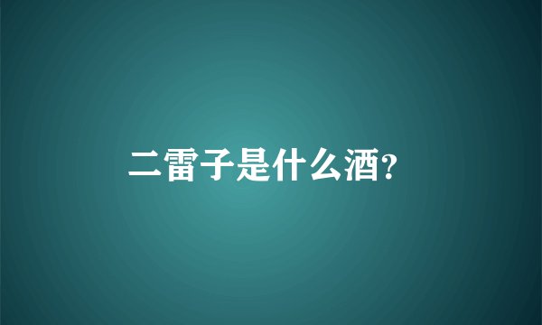 二雷子是什么酒？