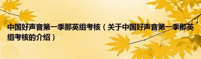 中国好声音第一季那英组考核（关于中国好声音第一季那英组考核的介绍）