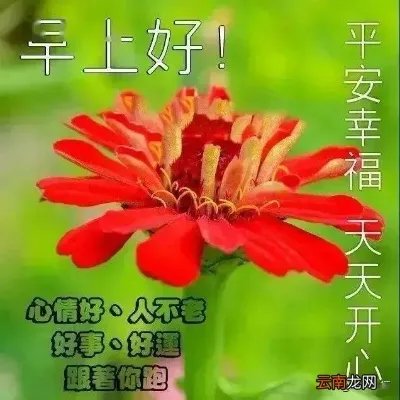 平安祝福语大全简短10个字
