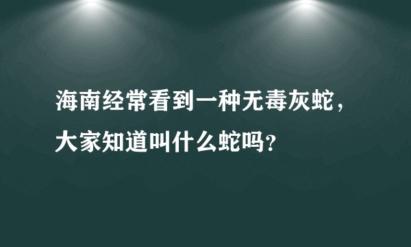 海南经常看到一种无毒灰蛇，大家知道叫什么蛇吗？