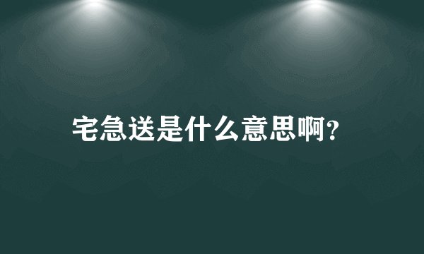 宅急送是什么意思啊？