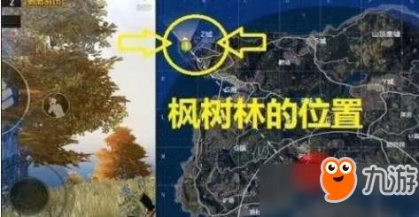 《绝地求生刺激战场》海岛野餐聚点在哪 野餐点坐标位置分享