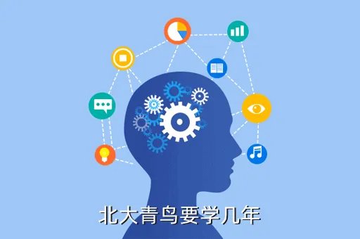 北大青鸟上几年，北大青鸟要学几年