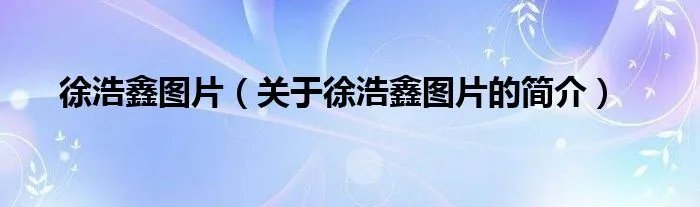 徐浩鑫图片（关于徐浩鑫图片的简介）