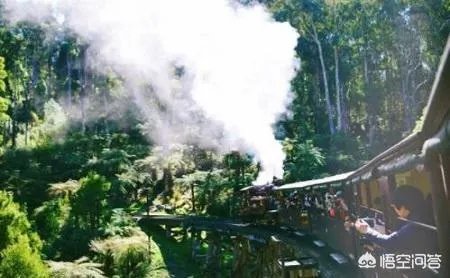 你有哪些去墨尔本的旅游攻略分享?你有哪些自由行攻略?