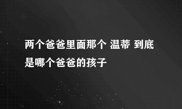 两个爸爸里面那个 温蒂 到底是哪个爸爸的孩子