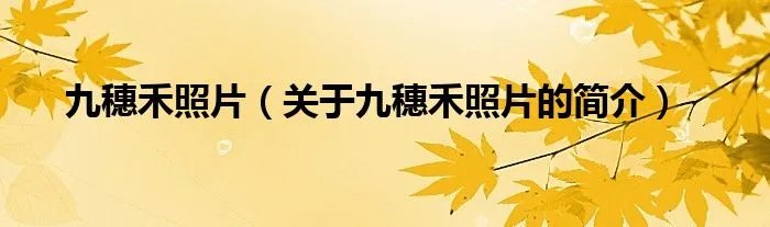九穗禾照片（关于九穗禾照片的简介）
