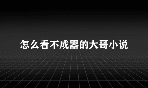 怎么看不成器的大哥小说