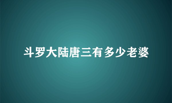 斗罗大陆唐三有多少老婆