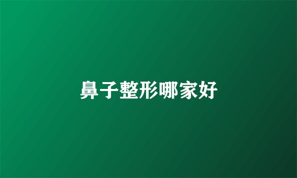 鼻子整形哪家好