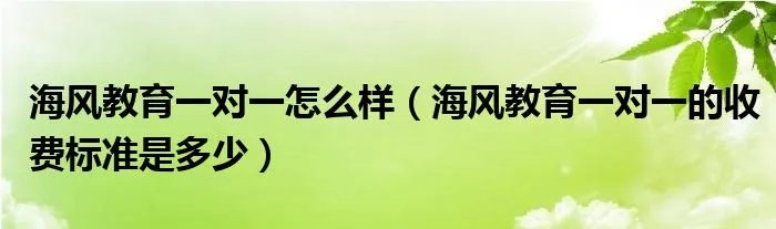 海风教育一对一怎么样（海风教育一对一的收费标准是多少）