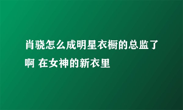 肖骁怎么成明星衣橱的总监了啊 在女神的新衣里