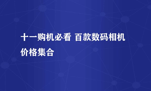 十一购机必看 百款数码相机价格集合