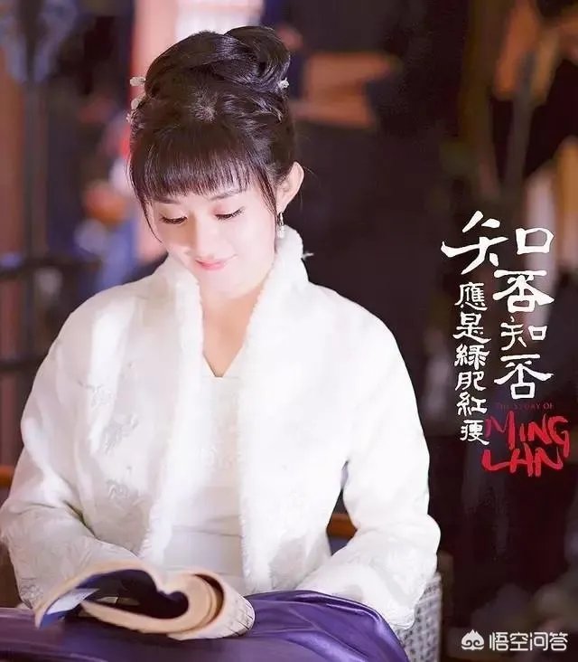 如何评价《知否知否,应是绿肥红瘦》这部剧?