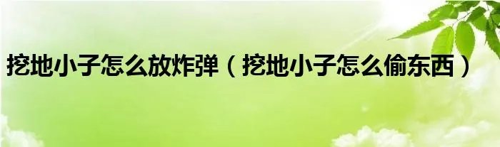 挖地小子怎么放炸弹(挖地小子怎么偷东西)