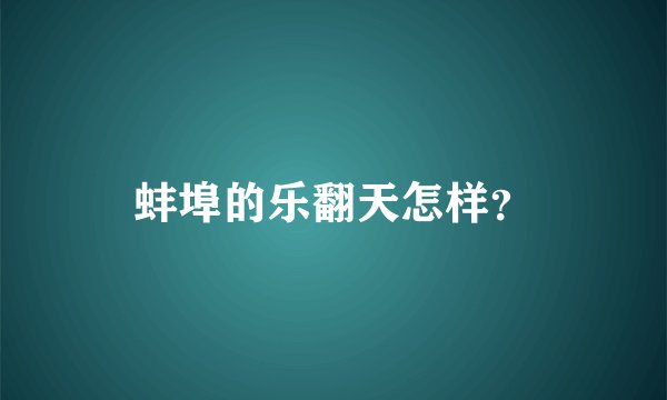 蚌埠的乐翻天怎样？