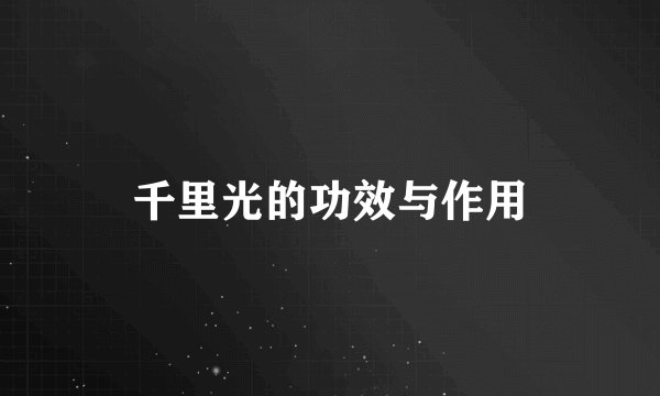 千里光的功效与作用