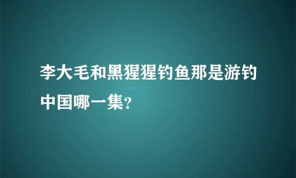 李大毛和黑猩猩钓鱼那是游钓中国哪一集？