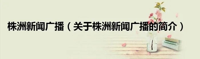 株洲新闻广播（关于株洲新闻广播的简介）
