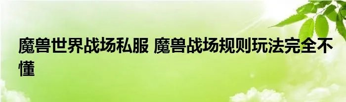 魔兽世界战场私服 魔兽战场规则玩法完全不懂