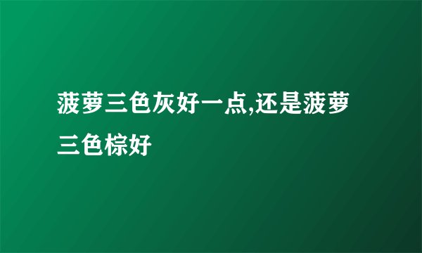 菠萝三色灰好一点,还是菠萝三色棕好