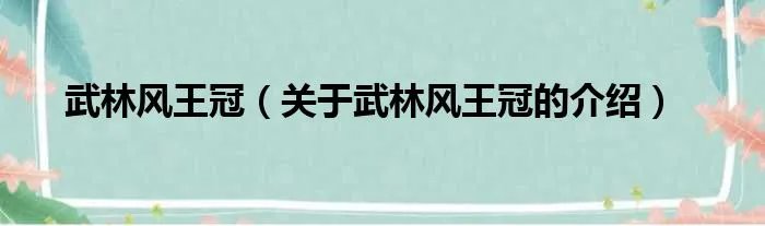 武林风王冠（关于武林风王冠的介绍）