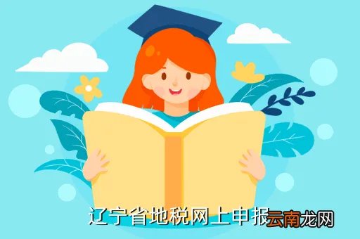 沈阳地税网上申报，辽宁省地税网上申报