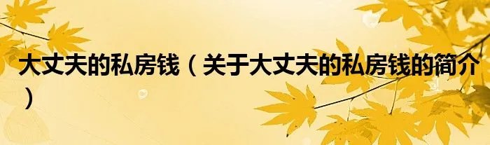 大丈夫的私房钱（关于大丈夫的私房钱的简介）