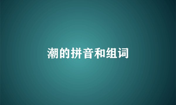 潮的拼音和组词
