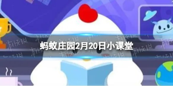 下列哪种食材不会出现在冬奥会 蚂蚁庄园2.20答案哪种食材不会出现