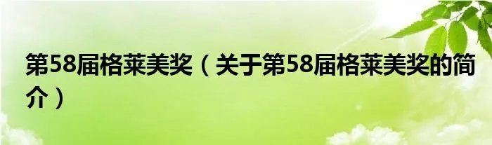 第58届格莱美奖（关于第58届格莱美奖的简介）