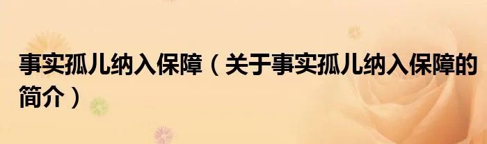 事实孤儿纳入保障（关于事实孤儿纳入保障的简介）