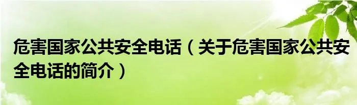 危害国家公共安全电话（关于危害国家公共安全电话的简介）