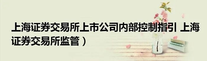 上海证券交易所上市公司内部控制指引 上海证券交易所监管)