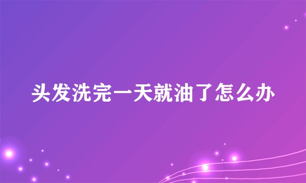 头发洗完一天就油了怎么办
