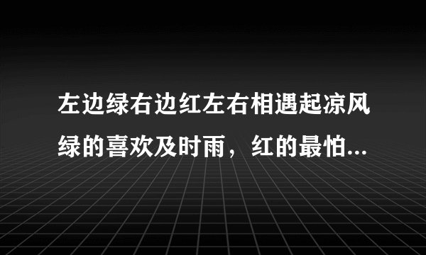 左边绿右边红左右相遇起凉风绿的喜欢及时雨,红的最怕水来攻谜底