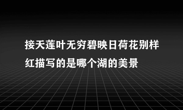 接天莲叶无穷碧映日荷花别样红描写的是哪个湖的美景