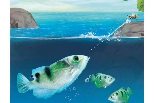 世界十大不可思议的生物 第三名可以永生不死,第二外形怪异