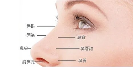 做假体隆鼻大概需要多少钱?
