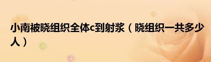 小南被晓组织全体c到射浆（晓组织一共多少人）
