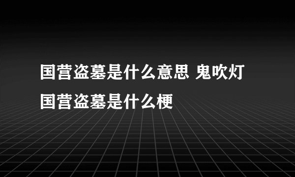国营盗墓是什么意思 鬼吹灯国营盗墓是什么梗